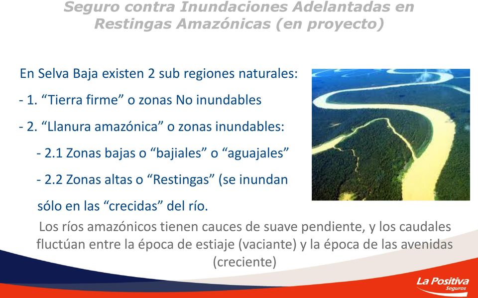 1 Zonas bajas o bajiales o aguajales - 2.2 Zonas altas o Restingas (se inundan sólo en las crecidas del río.