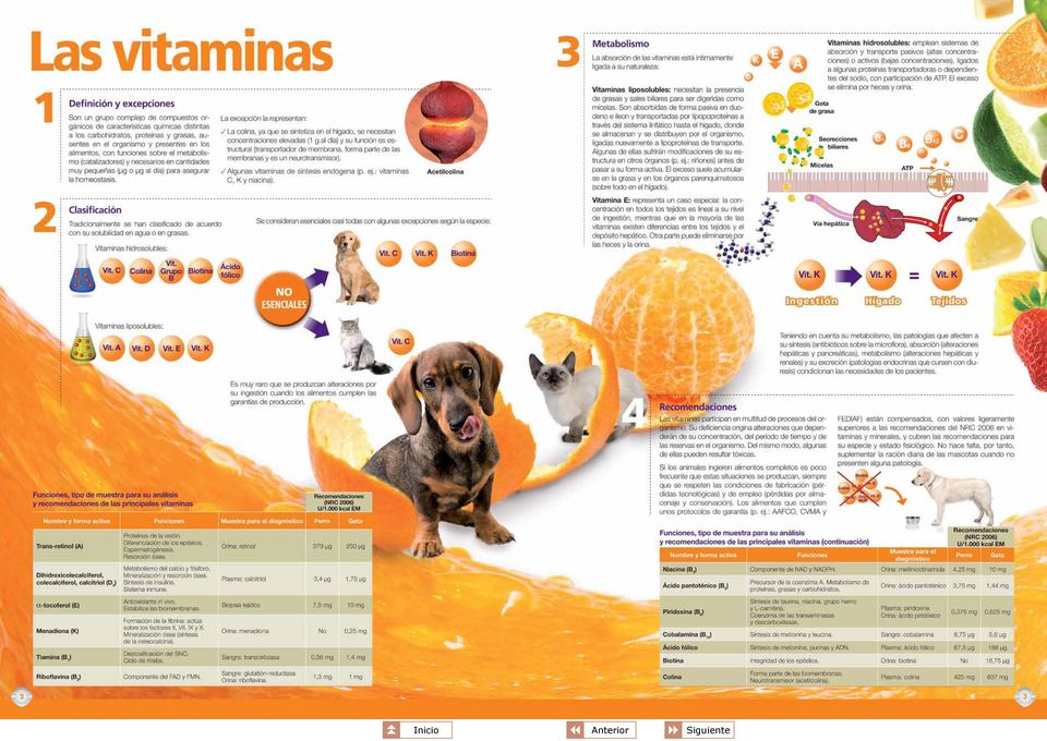 Aparador montaje Burro Atlas de nutrición y alimentación práctica en perros y gatos - PDF Free  Download