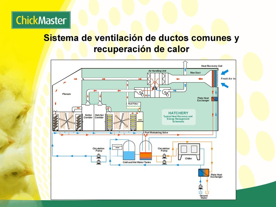 Hatcher Corridor HATCHERY Typical Heat Recovery and Energy Management Schematic 3 Port