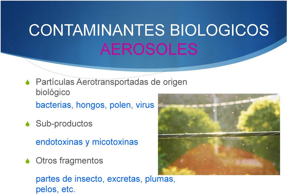 hongos, polen, virus Sub-productos endotoxinas y