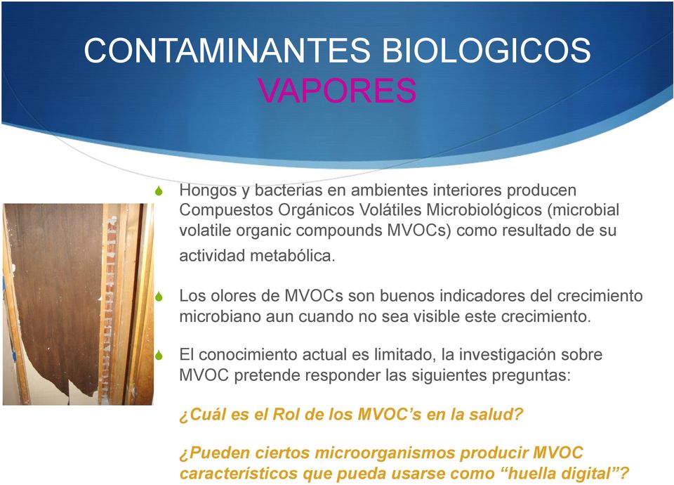 S Los olores de MVOCs son buenos indicadores del crecimiento microbiano aun cuando no sea visible este crecimiento.