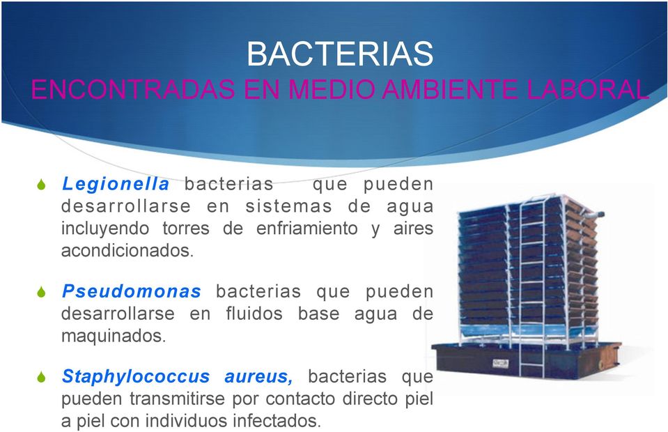 Pseudomonas bacterias que pueden desarrollarse en fluidos base agua de maquinados.