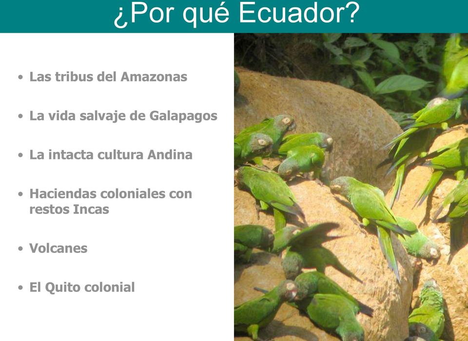 de Galapagos La intacta cultura Andina