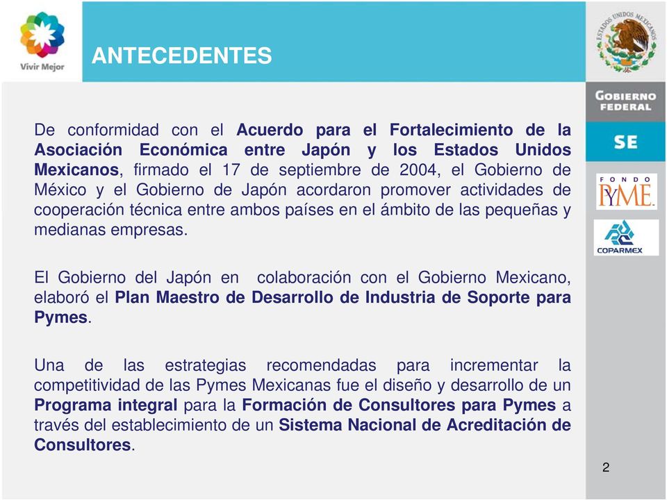 El Gobierno del Japón en colaboración con el Gobierno Mexicano, elaboró el Plan Maestro de Desarrollo de Industria de Soporte para Pymes.