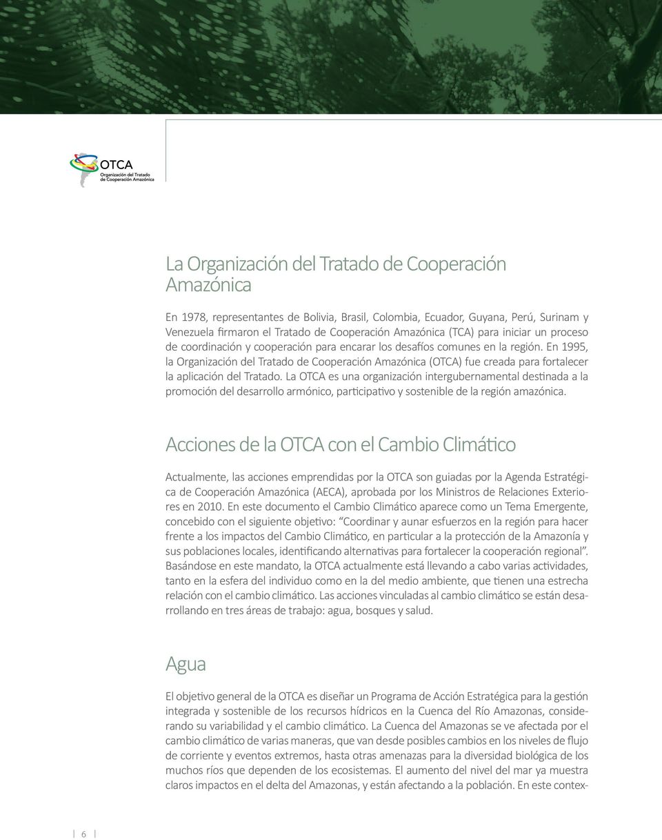 En 1995, la Organización del Tratado de Cooperación Amazónica (OTCA) fue creada para fortalecer la aplicación del Tratado.
