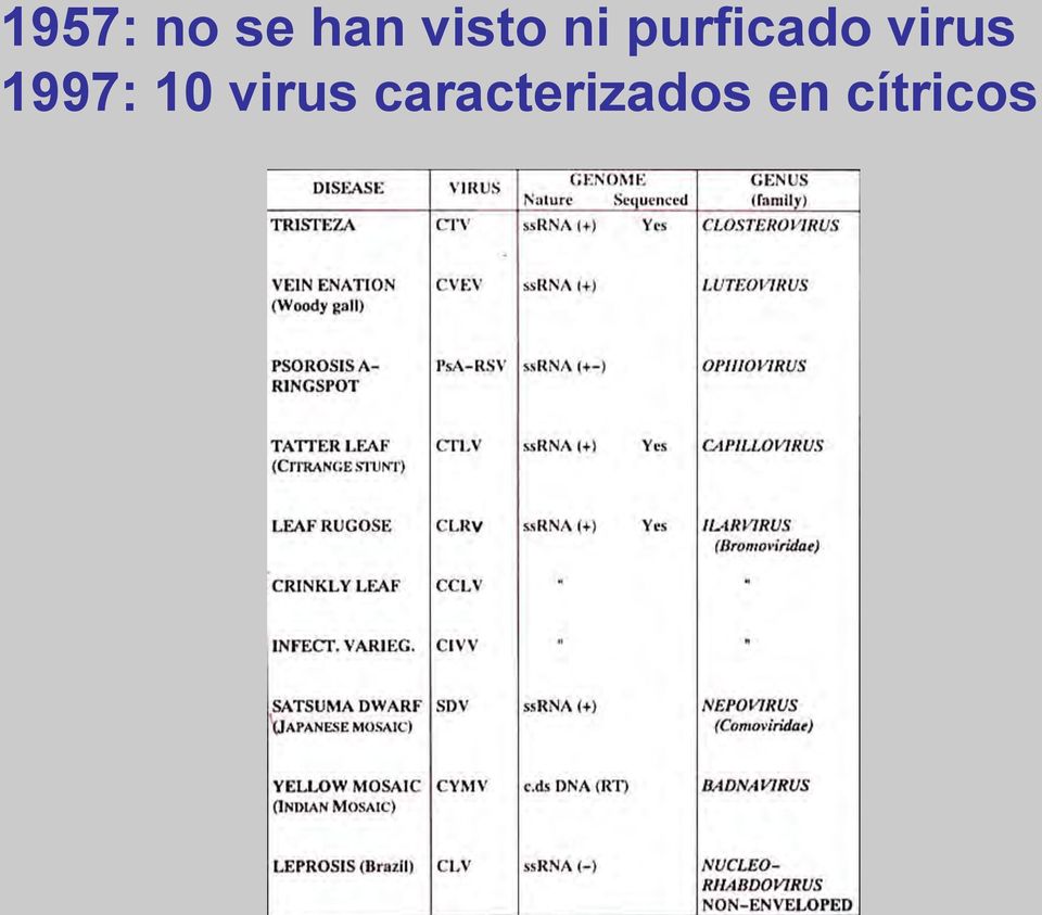 virus 1997: 1 virus