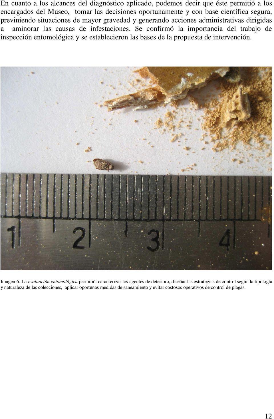 Se confirmó la importancia del trabajo de inspección entomológica y se establecieron las bases de la propuesta de intervención. Imagen 6.