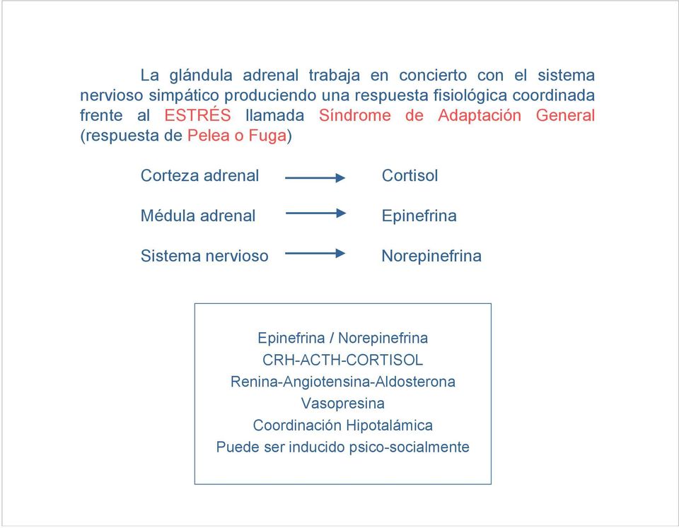 Corteza adrenal Médula adrenal Sistema nervioso Cortisol Epinefrina Norepinefrina Epinefrina / Norepinefrina