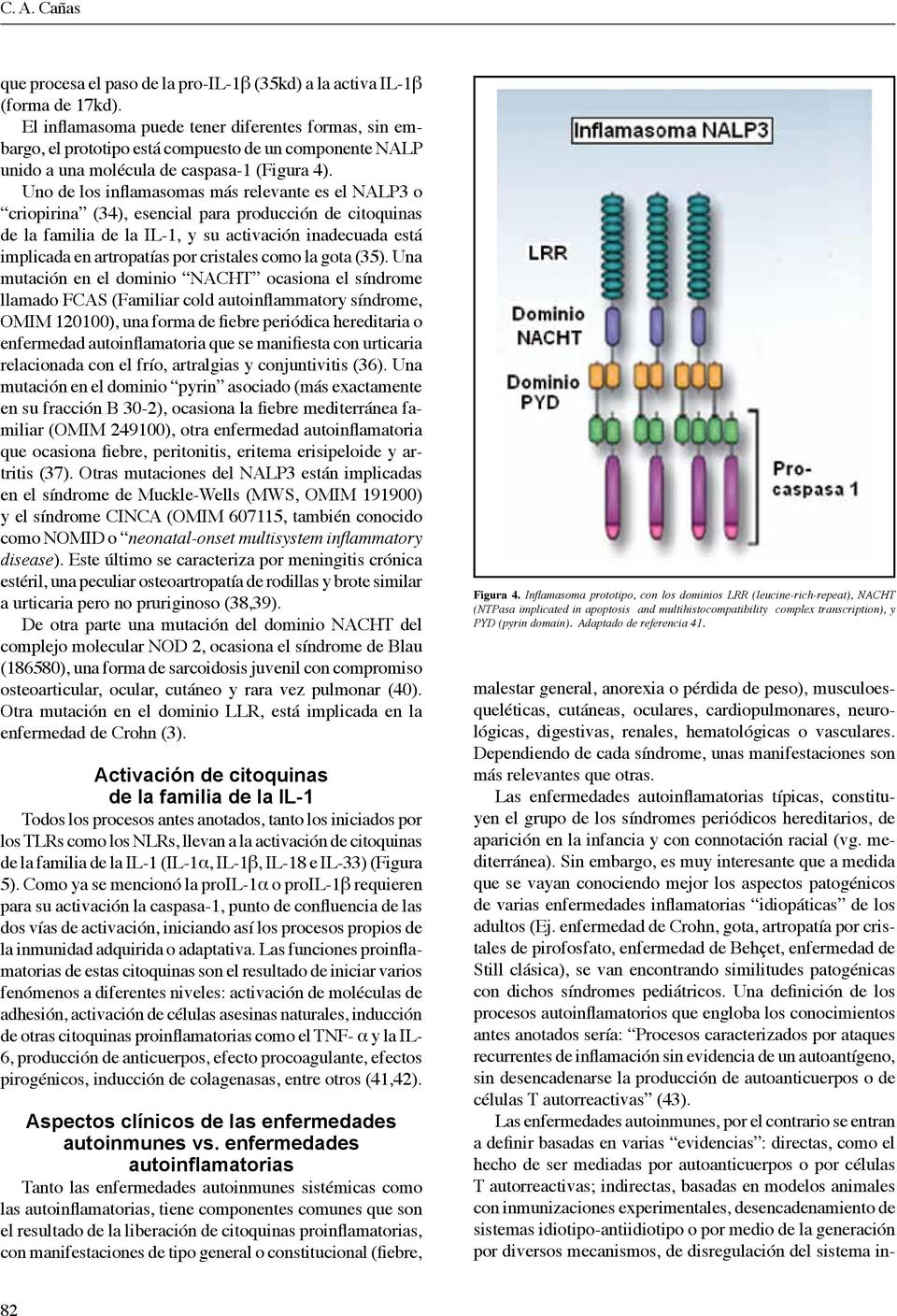 Uno de los inflamasomas más relevante es el NALP3 o criopirina (34), esencial para producción de citoquinas de la familia de la IL-1, y su activación inadecuada está implicada en artropatías por