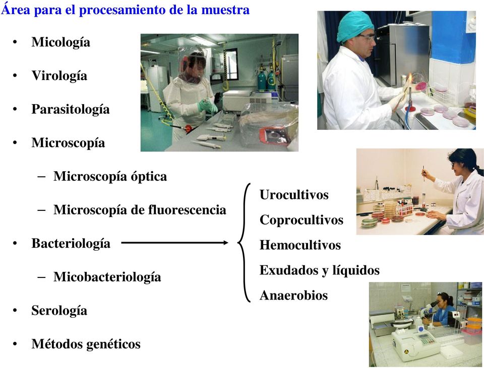 fluorescencia Bacteriología Micobacteriología Serología