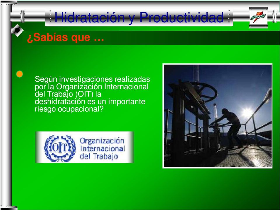 Organización Internacional del Trabajo (OIT)