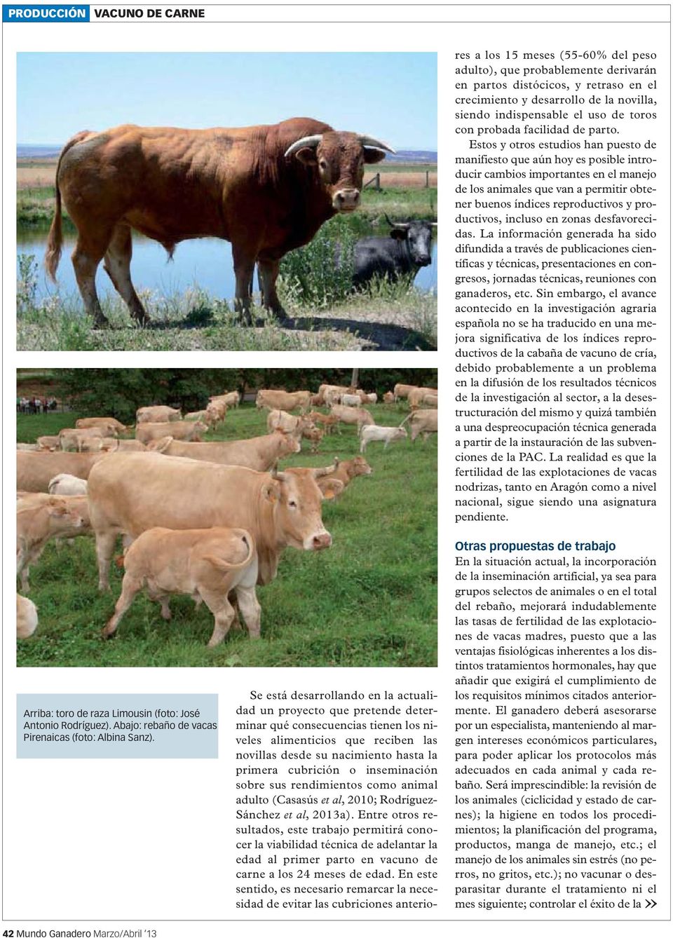 nacimiento hasta la primera cubrición o inseminación sobre sus rendimientos como animal adulto (Casasús, 2010; Rodríguez- Sánchez, 2013a).