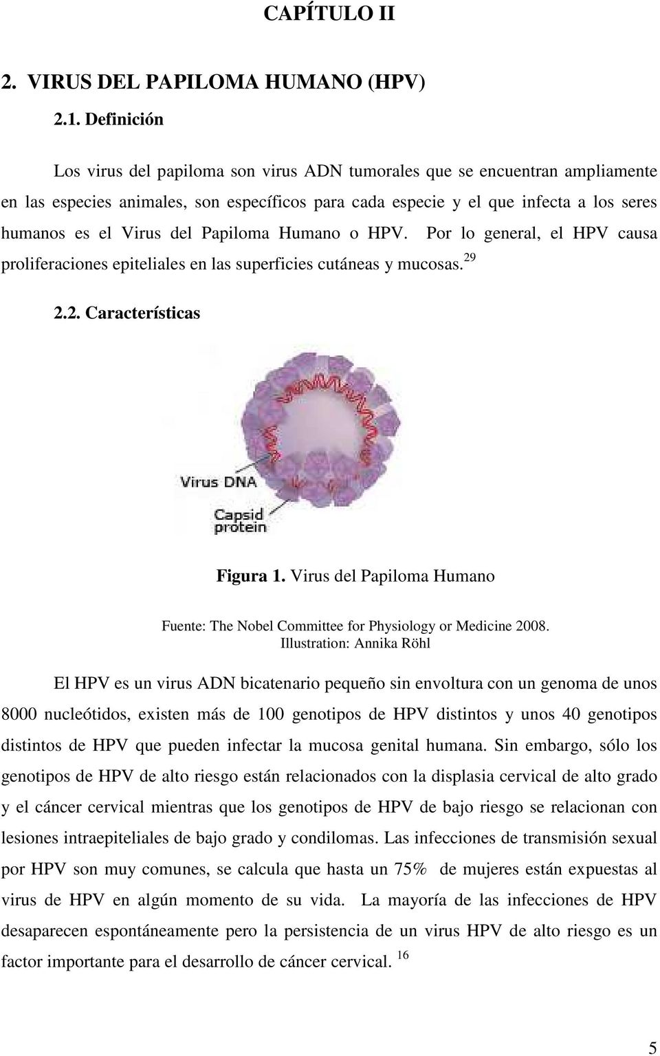 del Papiloma Humano o HPV. Por lo general, el HPV causa proliferaciones epiteliales en las superficies cutáneas y mucosas. 29 2.2. Características Figura 1.