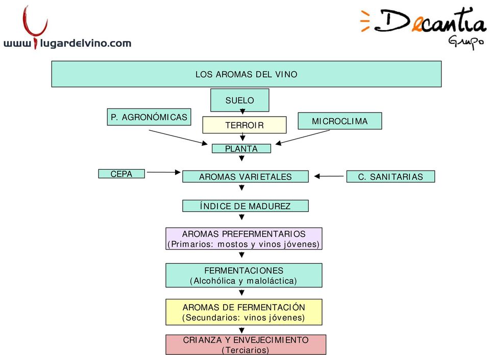 SANITARIAS ÍNDICE DE MADUREZ AROMAS PREFERMENTARIOS (Primarios: mostos y