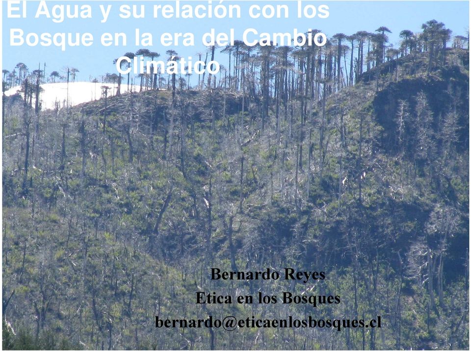 Climático Bernardo Reyes Etica en