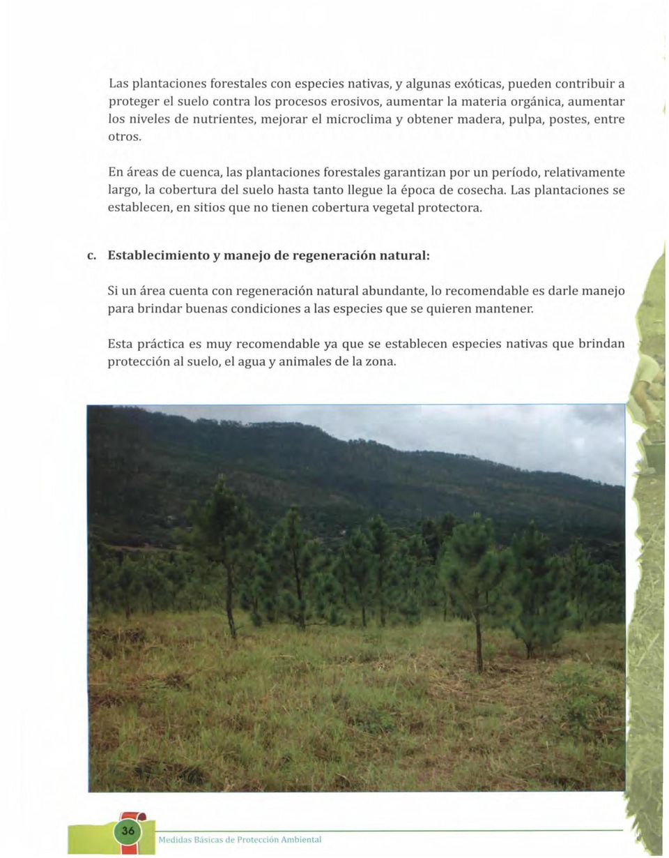 En áreas de cuenca, las plantaciones forestales garantizan por un período, relativamente largo, la cobertura del suelo hasta tanto llegue la época de cosecha.