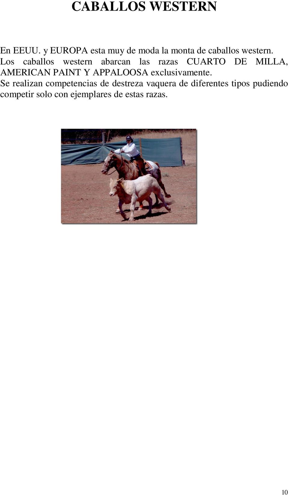 Los caballos western abarcan las razas CUARTO DE MILLA, AMERICAN PAINT Y