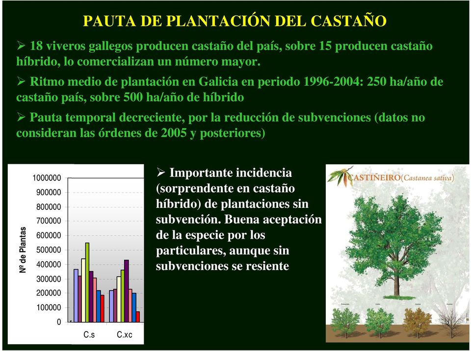 subvenciones (datos no consideran las órdenes de 2005 y posteriores) Nº de Plantas 1000000 900000 800000 700000 600000 500000 400000 300000 200000 100000 0 C.s C.