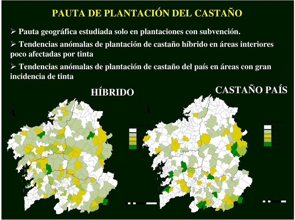 Tendencias anómalas de plantación de castaño del país en áreas con gran incidencia de tinta N HÍBRIDO