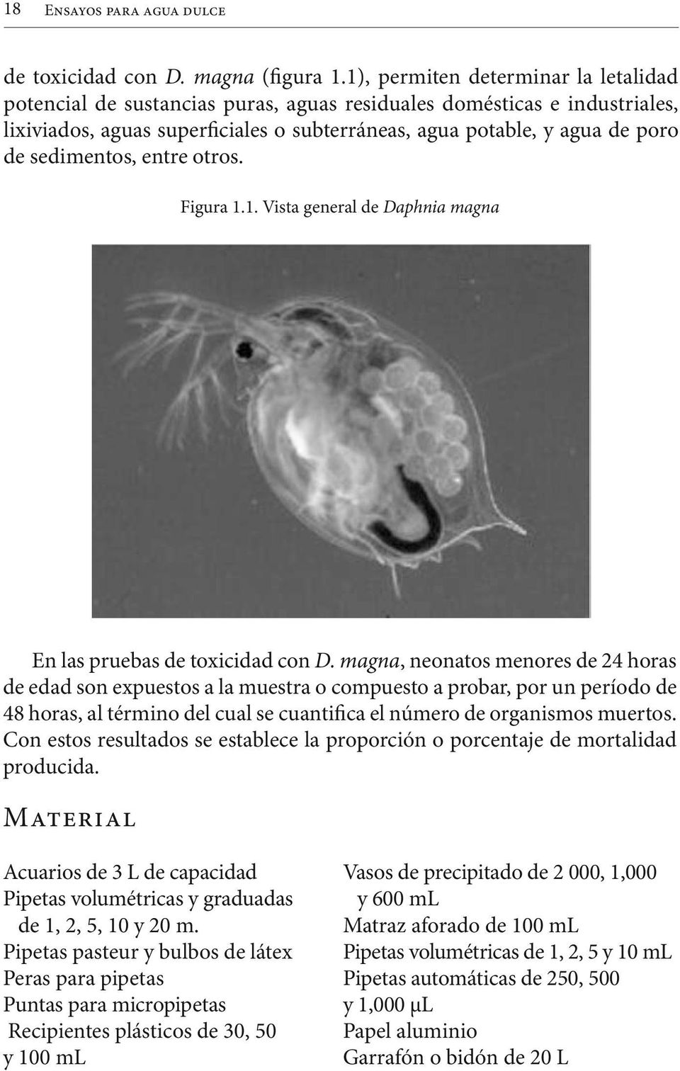 sedimentos, entre otros. Figura 1.1. Vista general de Daphnia magna En las pruebas de toxicidad con D.