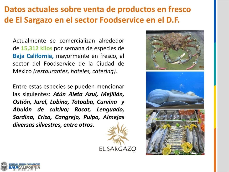 Actualmente se comercializan alrededor de 15,312 kilos por semana de especies de Baja California, mayormente en fresco, al sector del