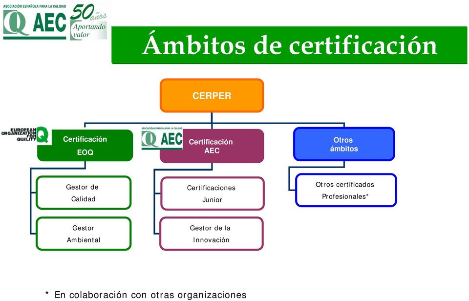 Certificaciones Junior Otros certificados Profesionales*