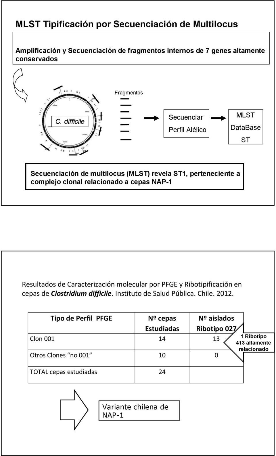 Resultados de Caracterización molecular por PFGE y Ribotipificación en cepas de Clostridium difficile. Instituto de Salud Pública. Chile. 202.