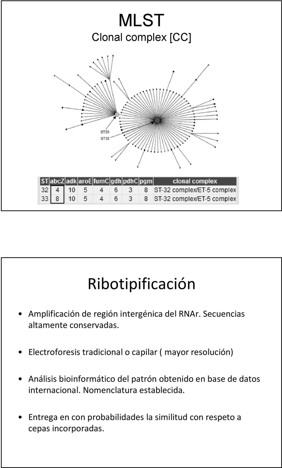 Electroforesis tradicional o capilar ( mayor resolución) Análisis bioinformático del