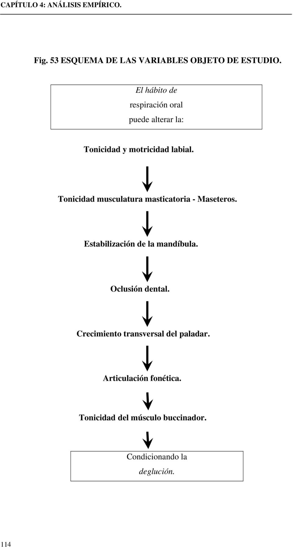 Tonicidad musculatura masticatoria - Maseteros. Estabilización de la mandíbula.