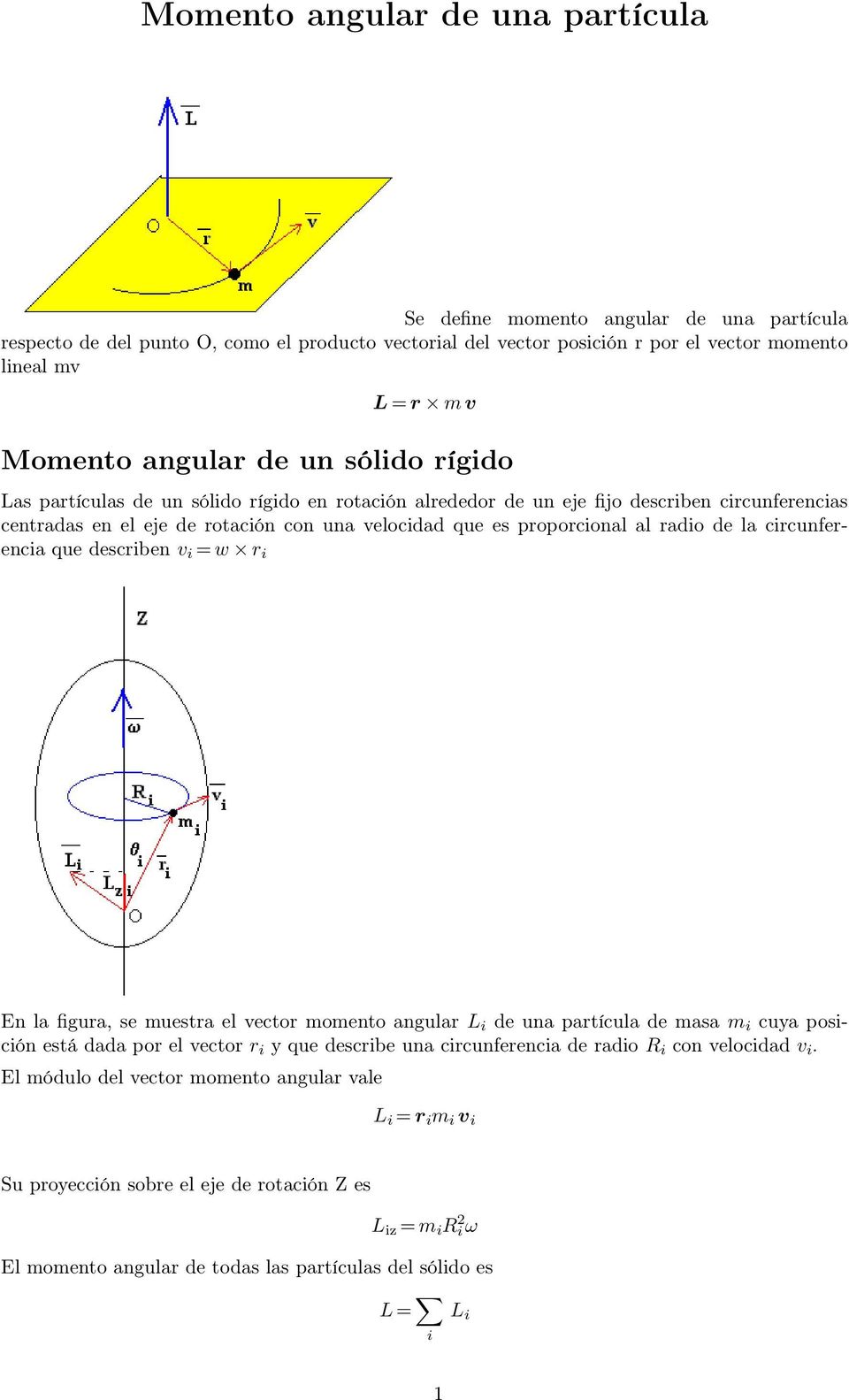radio de la circunferencia que describen v i =w r i En la figura, se muestra el vector momento angular L i de una partícula de masa m i cuya posición está dada por el vector r i y que describe una