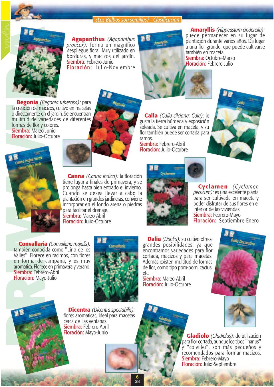 Bulbos; plantas que nunca fallan Otoño Primavera - PDF Free Download