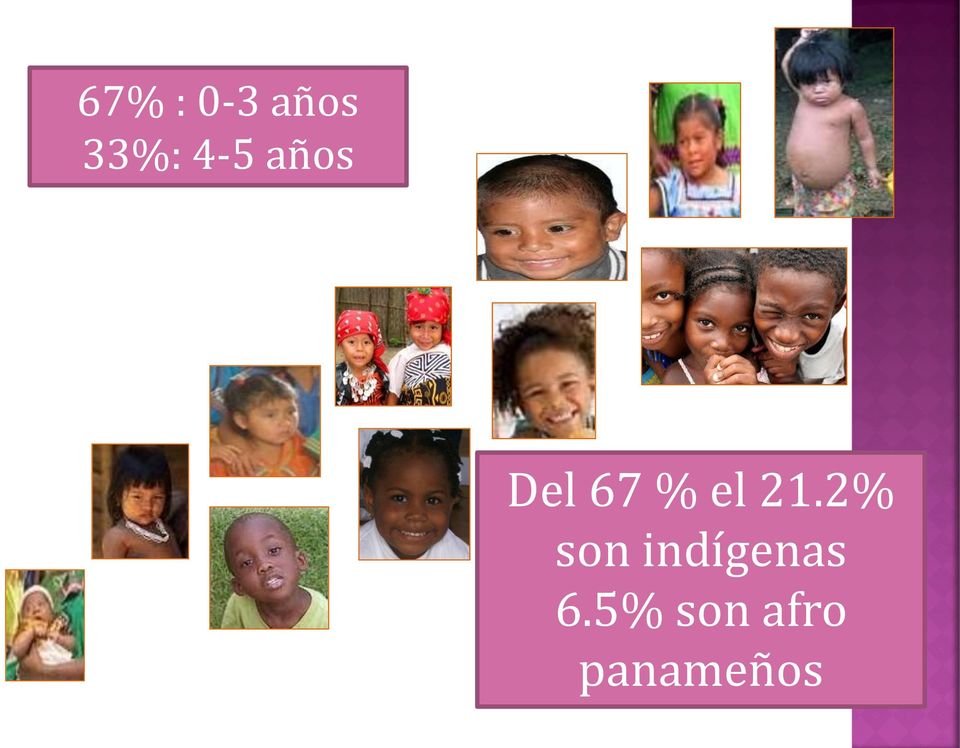21.2% son indígenas