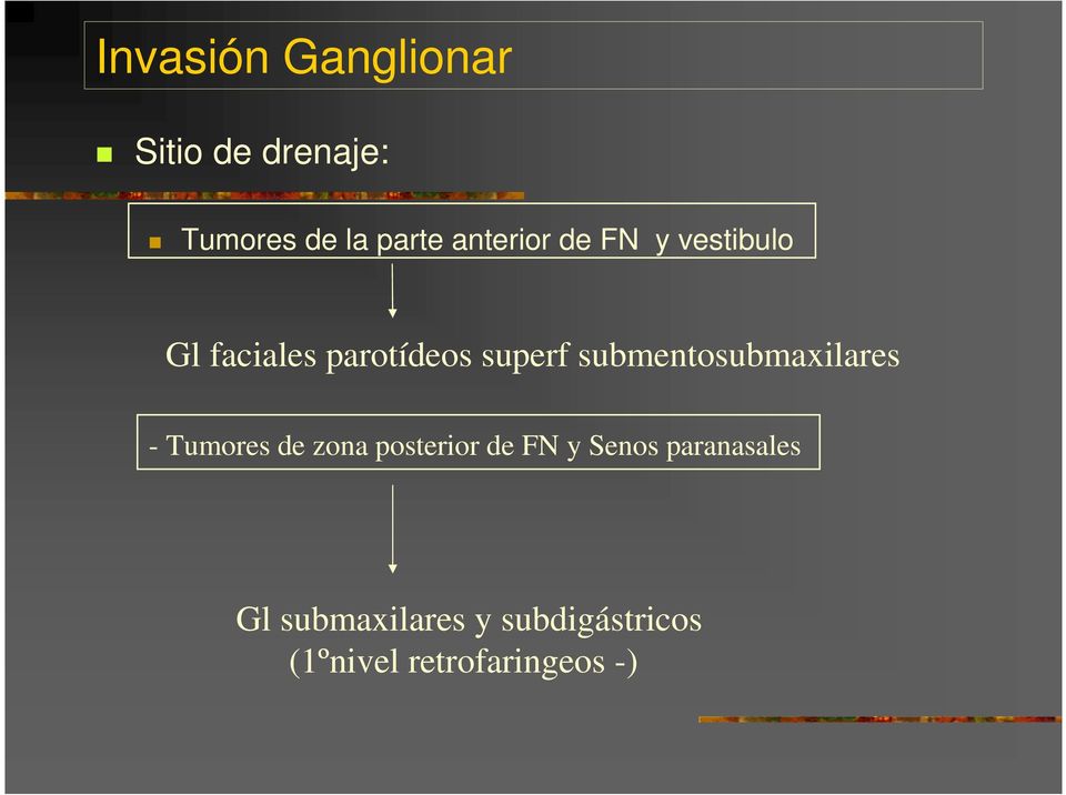 submentosubmaxilares - Tumores de zona posterior de FN y Senos