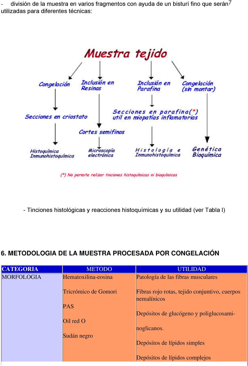 METODOLOGIA DE LA MUESTRA PROCESADA POR CONGELACIÓN CATEGORIA METODO UTILIDAD MORFOLOGIA Hematoxilina-eosina Patología de las fibras