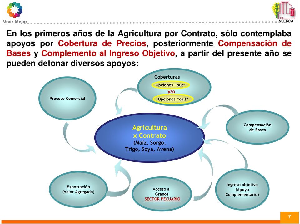 Coberturas Proceso Comercial Opciones put y/o Opciones call Agricultura x Contrato (Maíz, Sorgo, Trigo, Soya, Avena)