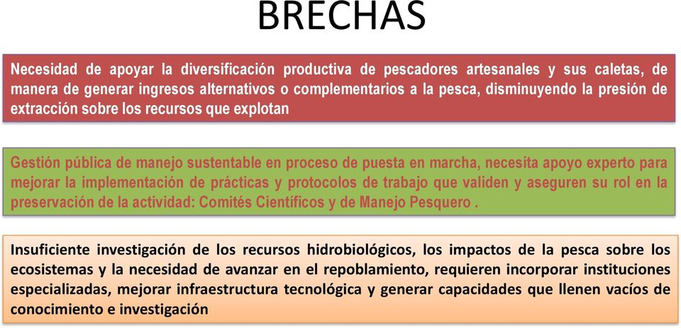trabajo que validen y aseguren su rol en la preservación de la actividad: Comités Científicos y de Manejo Pesquero.