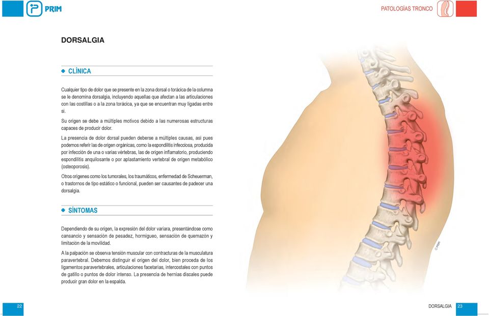 La presencia de dolor dorsal pueden deberse a múltiples causas, así pues podemos referir las de origen orgánicas, como la espondilitis infecciosa, producida por infección de una o varias vértebras,