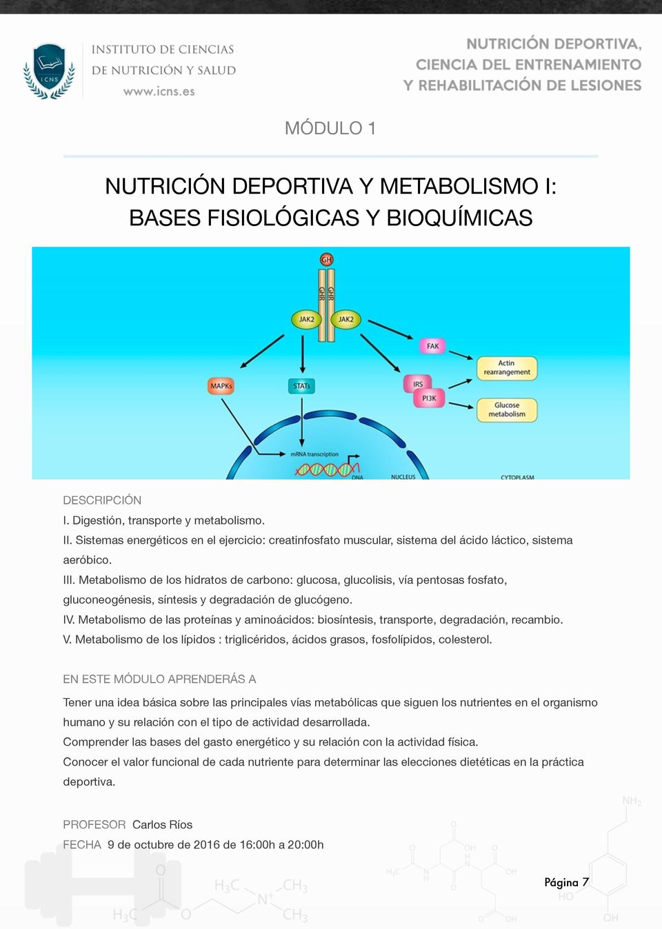 Metabolismo de los hidratos de carbono: glucosa, glucolisis, vía pentosas fosfato, gluconeogénesis, síntesis y degradación de glucógeno. IV.