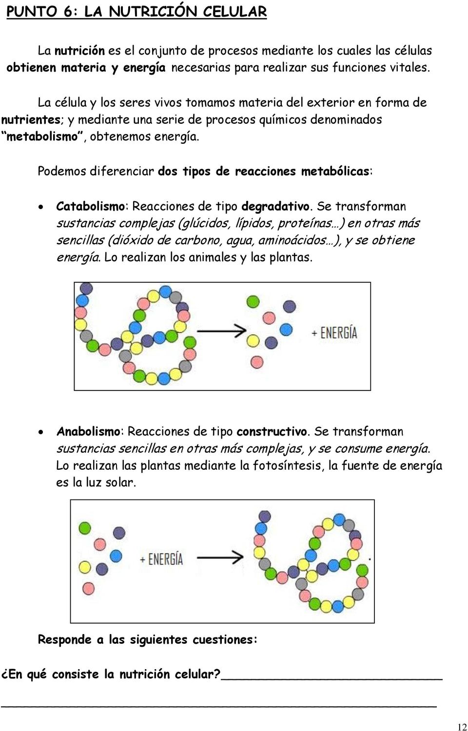 Podemos diferenciar dos tipos de reacciones metabólicas: Catabolismo: Reacciones de tipo degradativo.