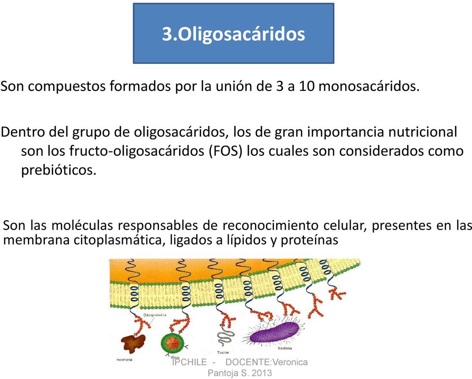 fructo-oligosacáridos (FOS) los cuales son considerados como prebióticos.