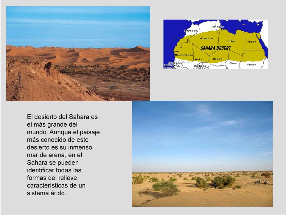 inmenso mar de arena, en el Sahara se pueden identificar