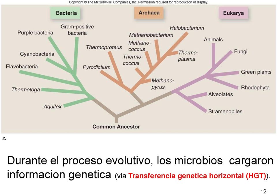 informacion genetica (via