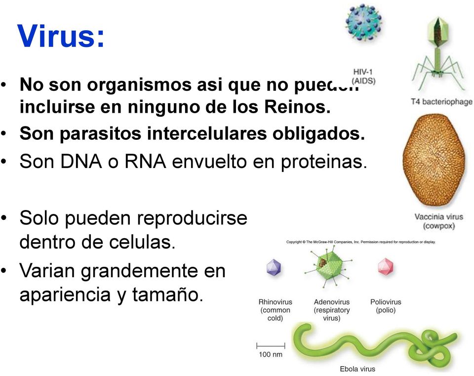 Son DNA o RNA envuelto en proteinas.