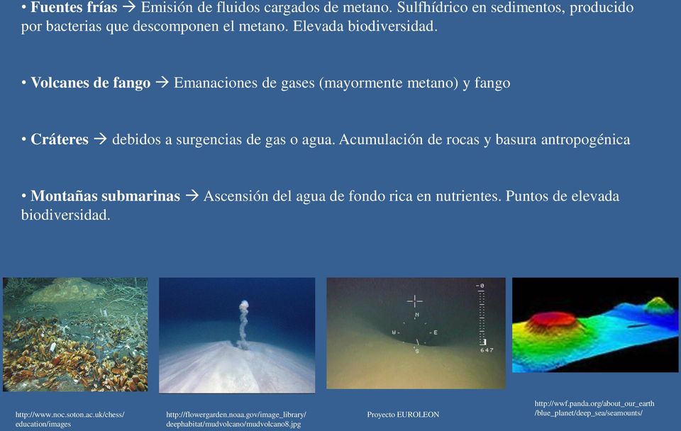 Acumulación de rocas y basura antropogénica Montañas submarinas Ascensión del agua de fondo rica en nutrientes. Puntos de elevada biodiversidad. http://www.