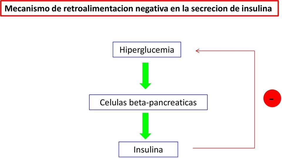 la secrecion de insulina