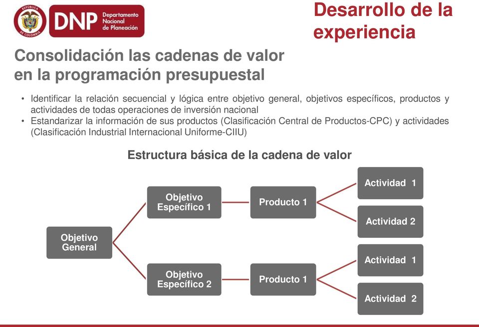 sus productos (Clasificación Central de Productos-CPC) y actividades (Clasificación Industrial Internacional Uniforme-CIIU) Estructura básica de
