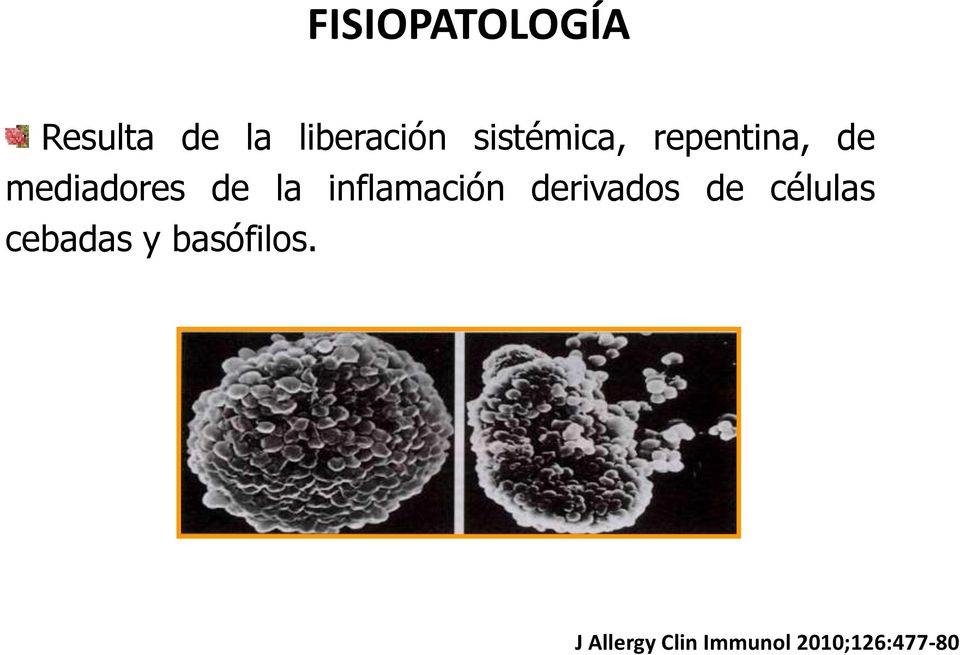 inflamación derivados de células cebadas y