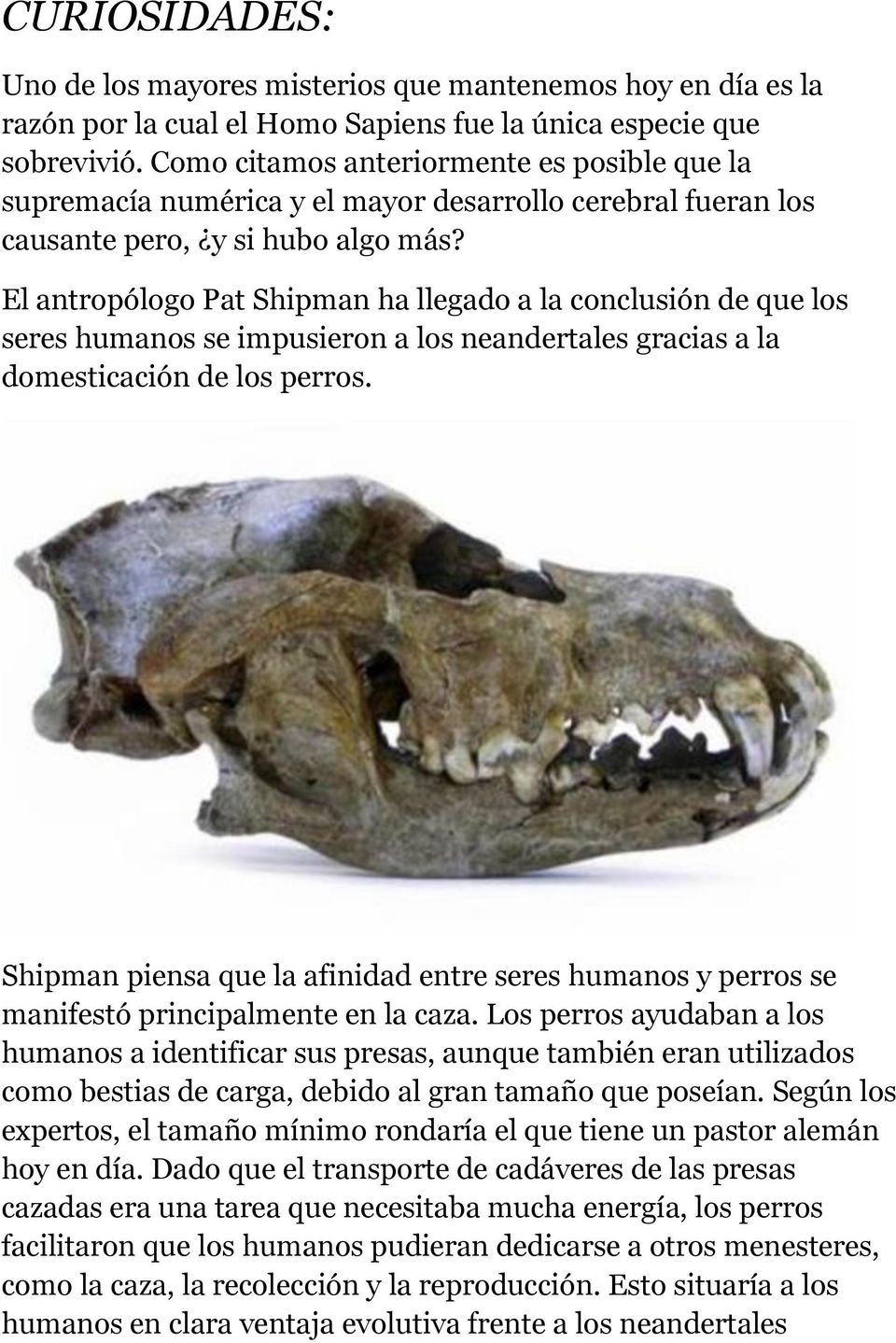 El antropólogo Pat Shipman ha llegado a la conclusión de que los seres humanos se impusieron a los neandertales gracias a la domesticación de los perros.