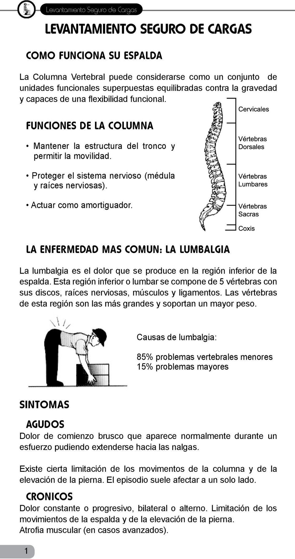 LA ENFERMEDAD MAS COMUN: LA LUMBALGIA La lumbalgia es el dolor que se produce en la región inferior de la espalda.