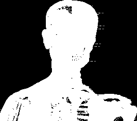 El conjunto de huesos y músculos del cuerpo humano